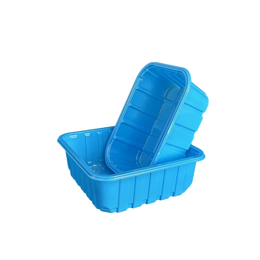 Wholesale Hot Sale PET Mushroom Container Plastic Packaging Tray