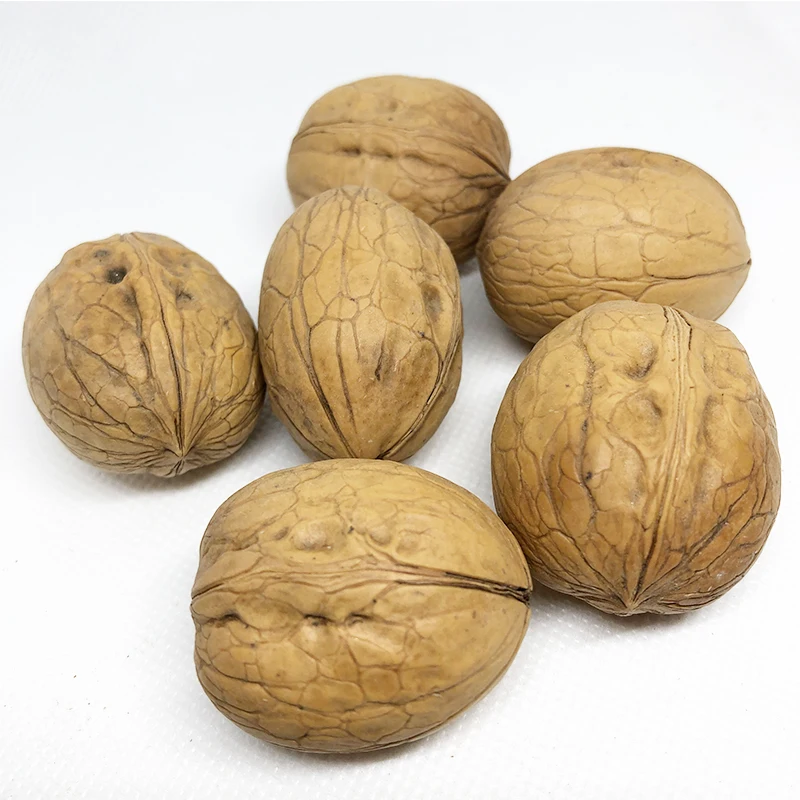 Factory direct sale 185 walnut washed shell walnut Chinese walnut