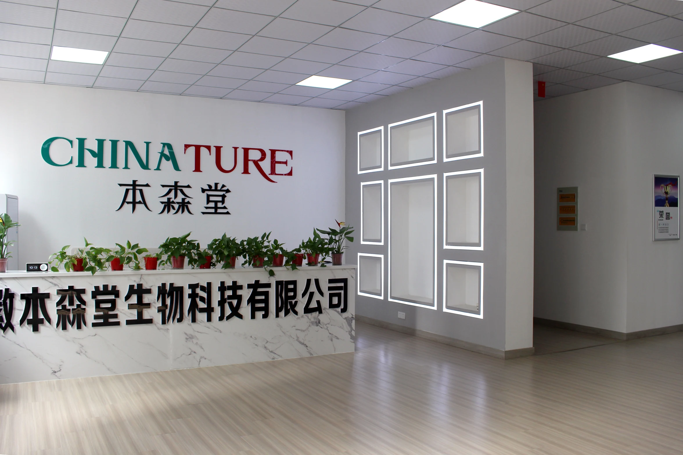 High quality Organic Astragalus Extract 70% Polysaccharides Astragalus Membranaceus Root Extract 5%Astragaloside