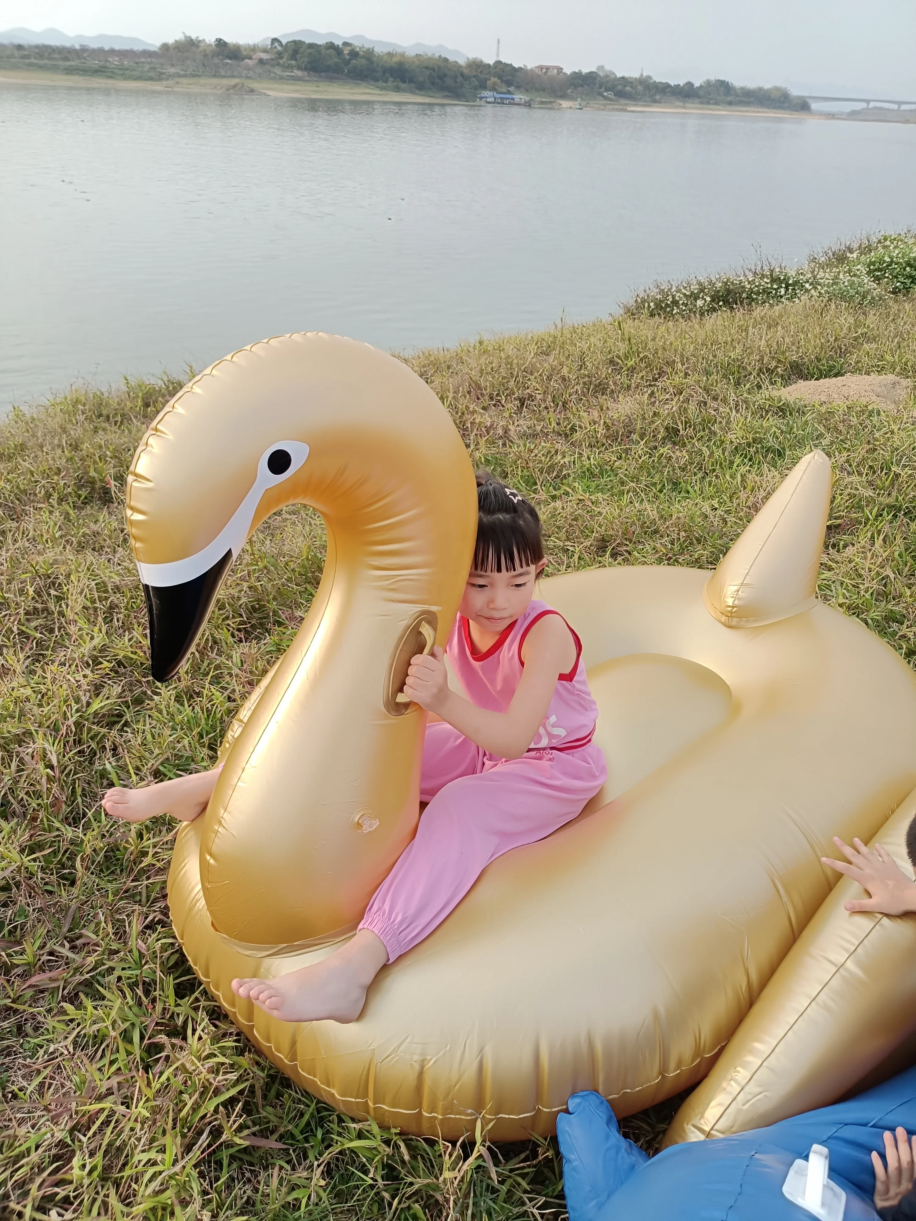 Factory hot selling Inflatable Golden Swan High quality inflatable water toys in stock