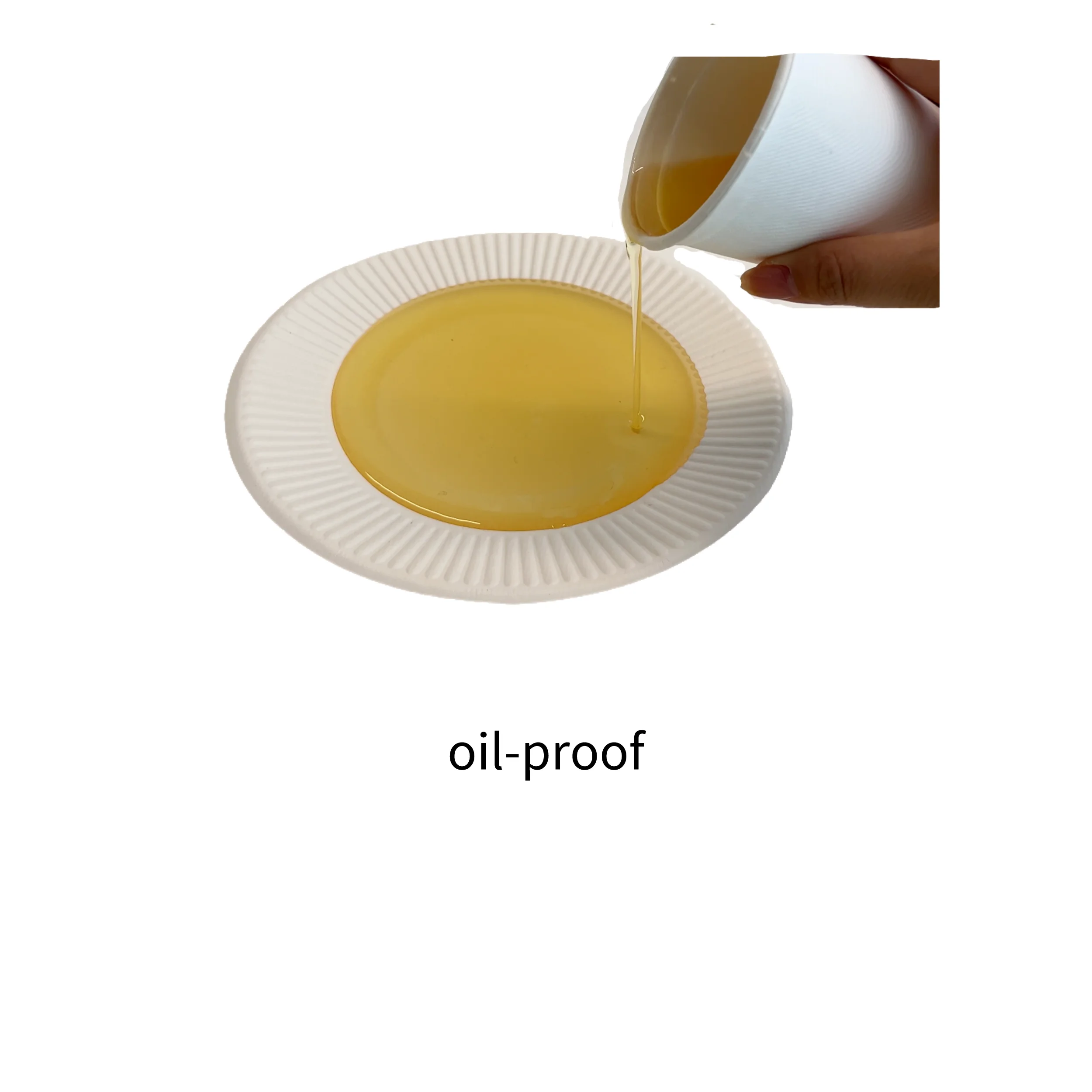 8 Inch Tray Biodegradable Bagasse Plate Biodegradable Food Packaging Paper Tray Disposable Dinnerware