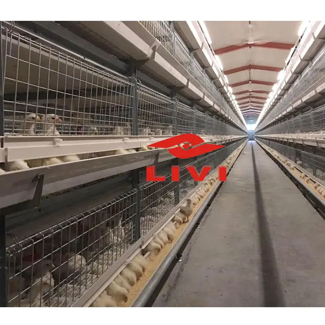 Anti-Rust Galvanized 3 4 Tiers A-Type Baby Chicks Breeding Cage for Growing Egg Layer Production