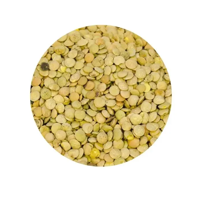 
Wholesale lentil agricultural crop in containers and grain wagons 