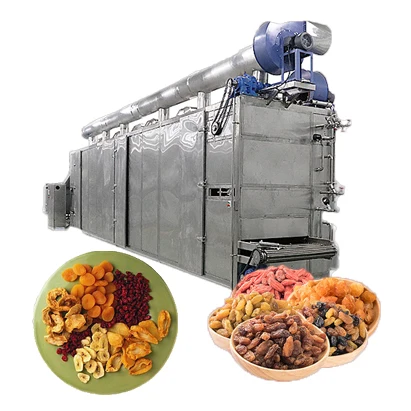 dried plum processing line dried fruit production line/dried apricot slices processing machine