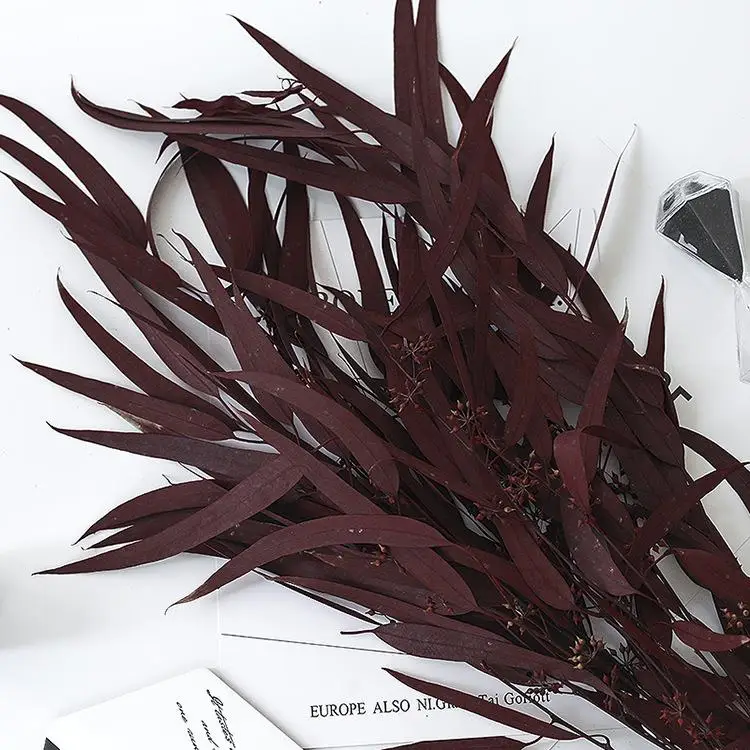 Decorative Flowers Wreaths and Plants Decoration flowers Eucalyptus Leaves