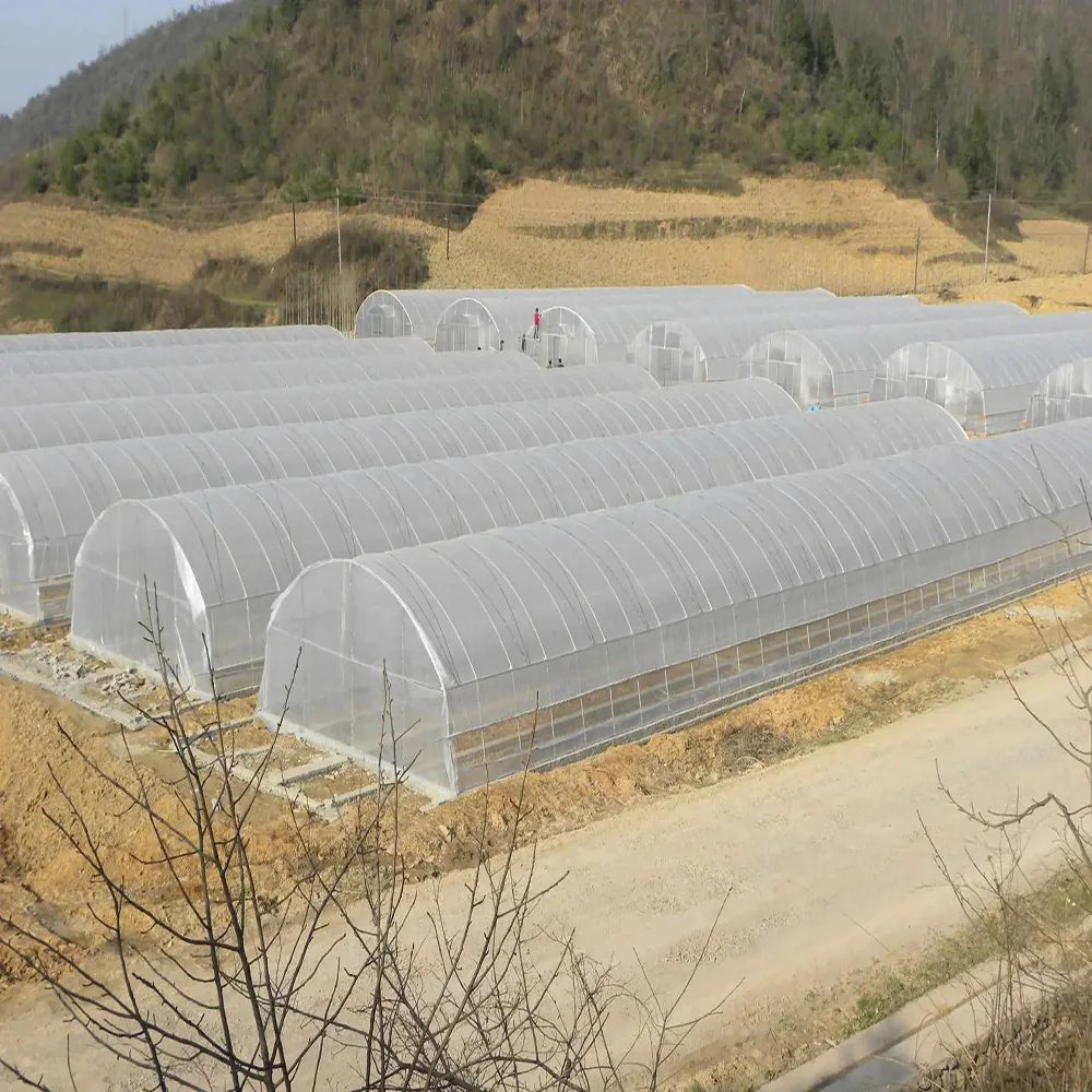 Low price greenhouse plastic film agriculture products green house metal frame on sale