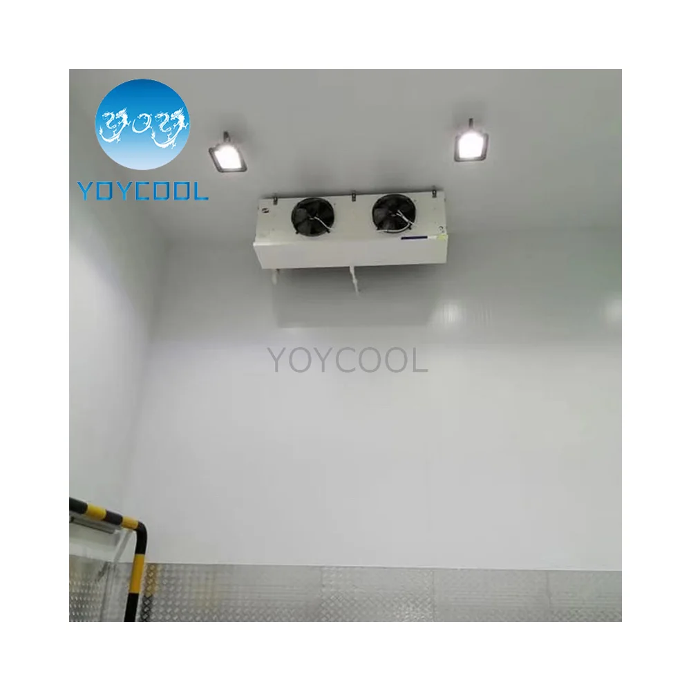 mini room cooler Panama cold storage room for Donkey meat storage