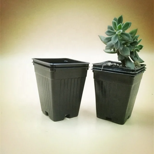 Factory Direct Pvc Sugarcane Seed Tray