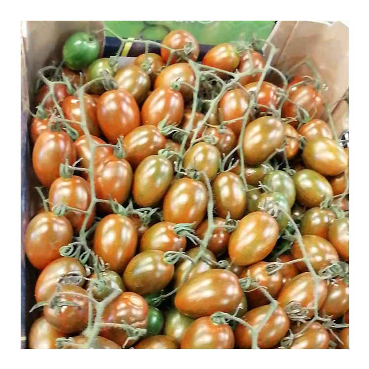 
Italian Zebrino Wholesale Yellow Tomatoes Fresh Tomatoes 