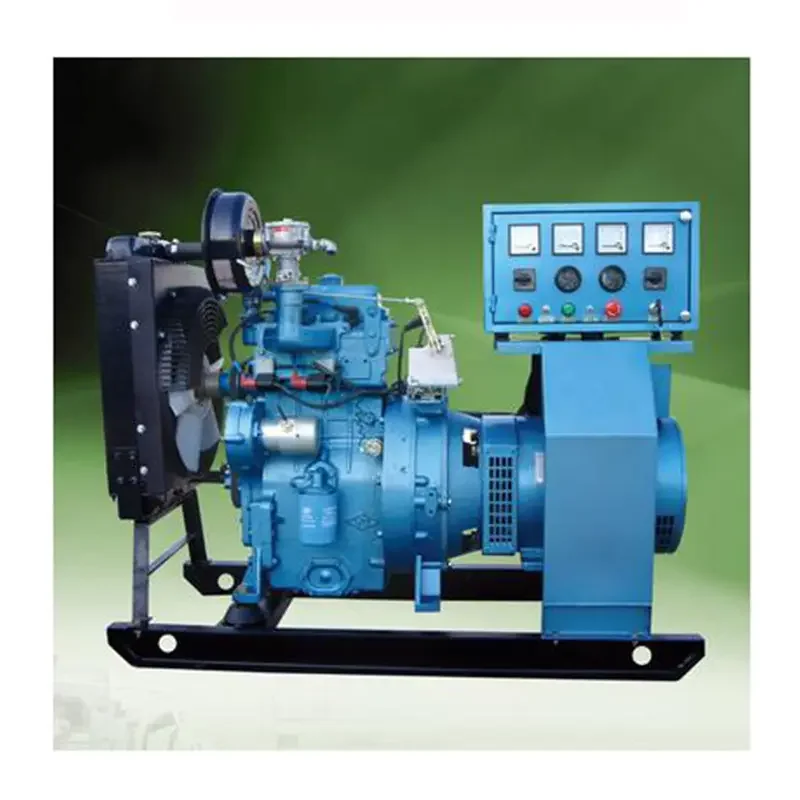 12kw 20kw 24kw 30kw 50kw small Biogas turbine generator price