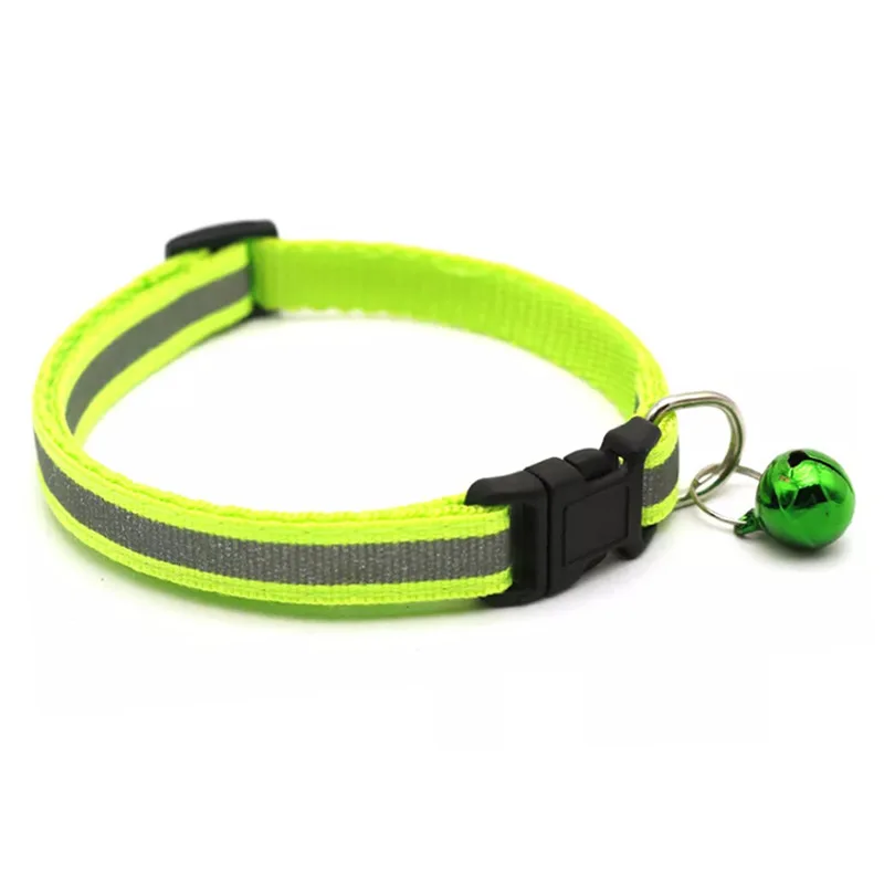 dog collar (8)