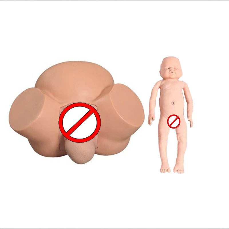 Medical Midwifery Training Model Difficult Labor Model Advanced Dystocia Simulator