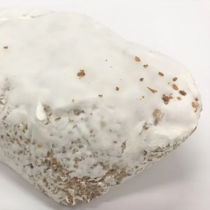 
Energy and stamina support cordyceps sinensis best nutrition supplement capsule 