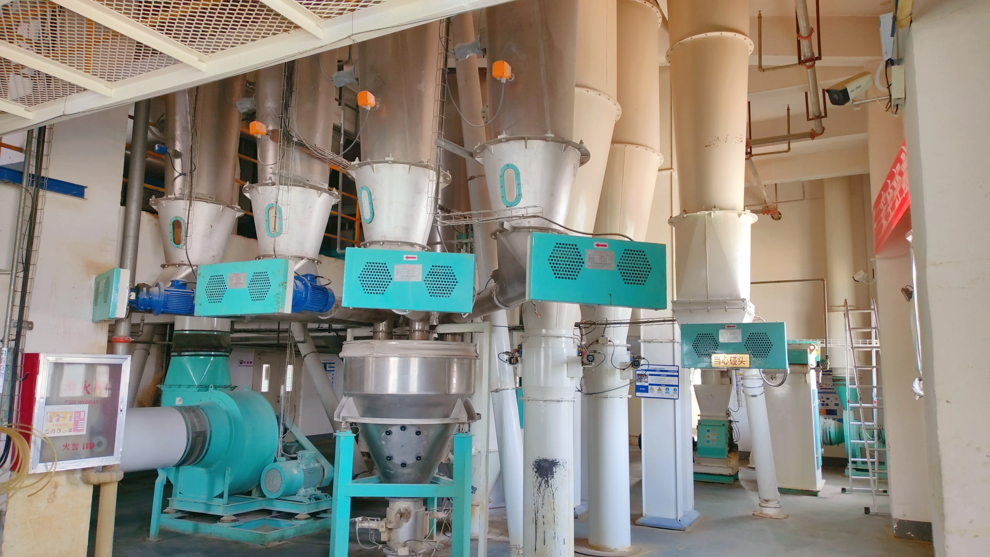 Healthy high protein food for one years old dog