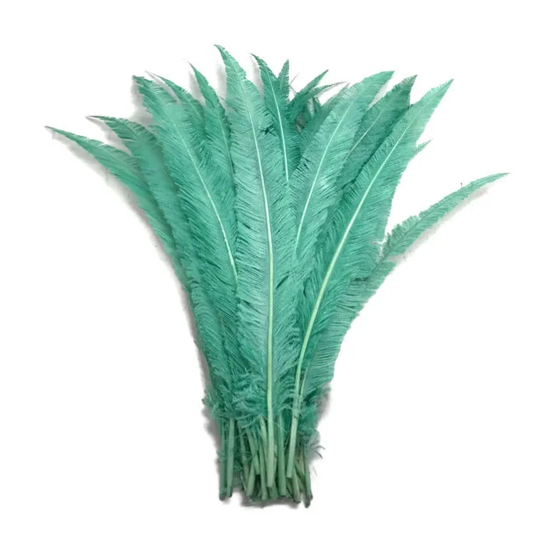 Trimmed 20-24inch Ostrich Nandu Feathers