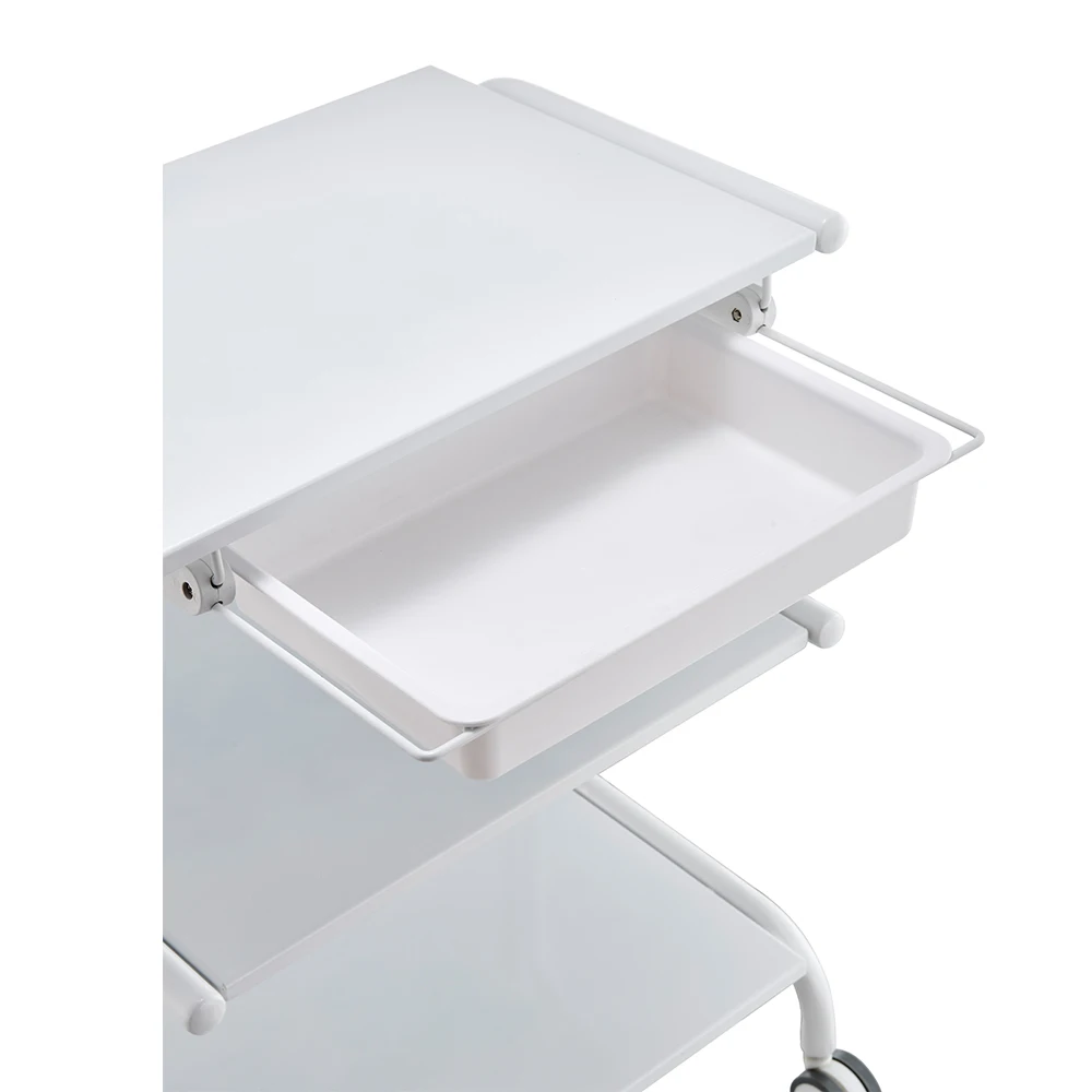 China Best Price salon beauty salon chair Furniture accessories Hair chair trolley beauty tool car