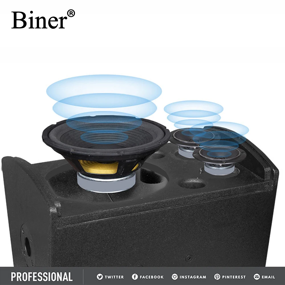 Biner D200 High Quality 10 Inch 100W Professional Audio Sound System Speaker For Family Cinema KTV