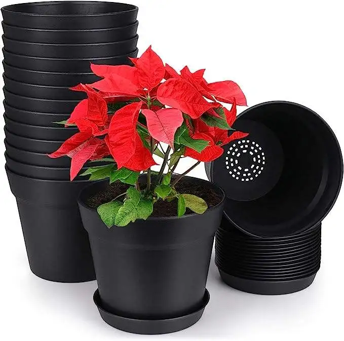 Home Garden Supplies Multiple Sizes Nursery Succulents Planter Transplant Double Colour Durable Plastic Flower Pot