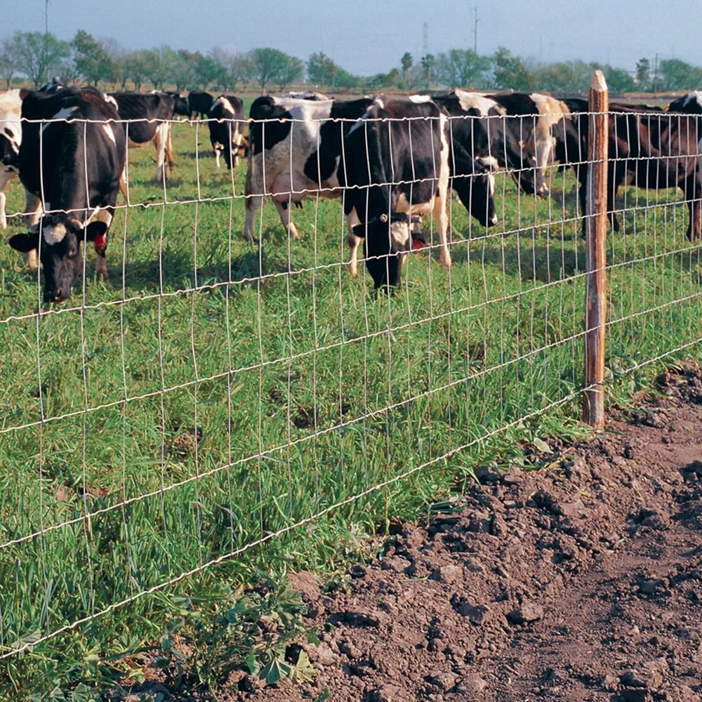 Heavy-Duty Galvanized Metal Fixed Knot Woven Fencing Wire Hog Wire Farm Field Fence for Livestock Metal Mesh Fencing Wire