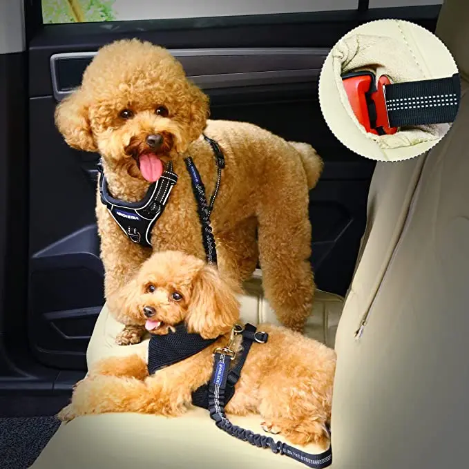 Adjustable Pet Dog Cat Seat Belt, Safety Leads Vehicle Car Harness Seat Tether,Nylon Fabric- Black,Blue, Red, Purple