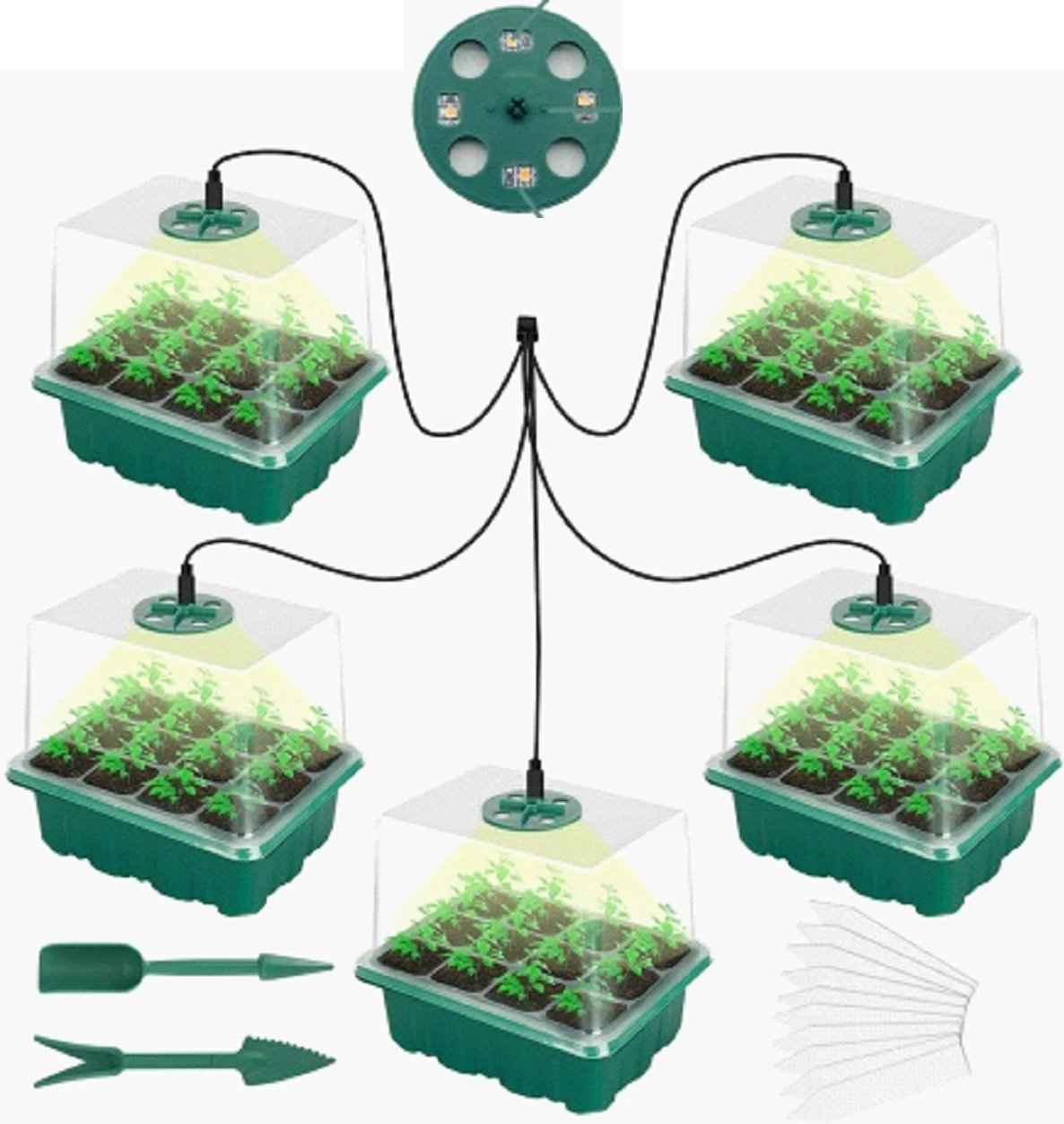 5 Set Seed Trays with Grow Light for Plants, Propagator Trays with Heightened Lids, LED Full Spectrum Sunlike White Plant Lights