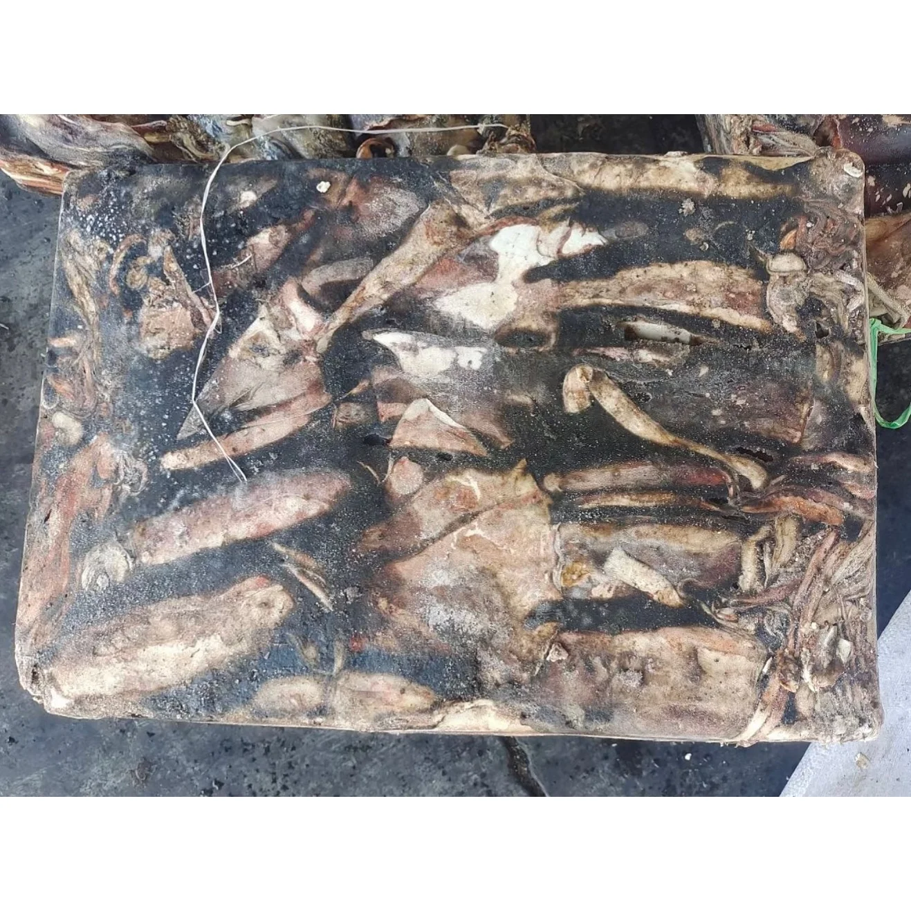 Frozen Calamari 300-500g Frozen Giant Squid Dosidicus Gigas Squid