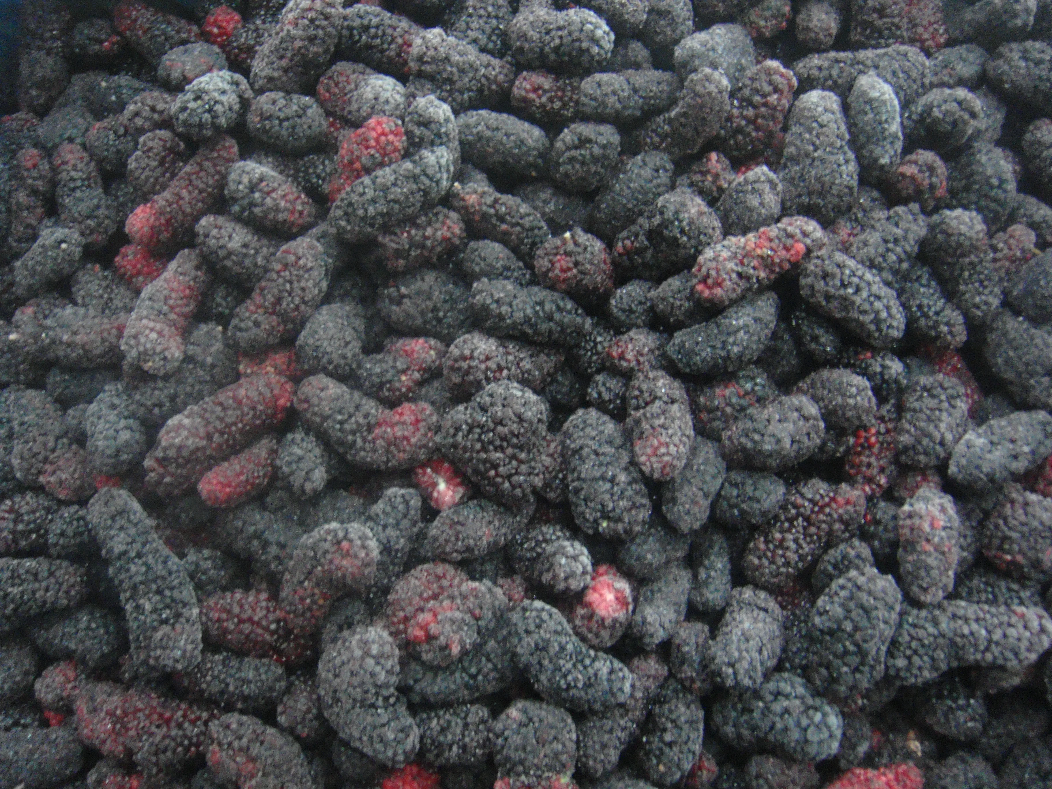 Hot Selling Frozen Fruits Frozen Mulberries IQF Mulberries Frozen Black Mulberry