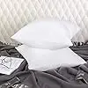 18*18' White Down Pillow Core for Decorative Pillow Cover, Bed Pillow, Living Room Sofa Pillow