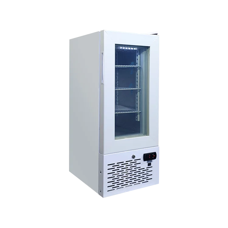 Meisda 21L small upright cheese and ice-cream stick small freezer with glass door