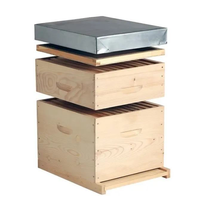 Factory Wholesale 10 Frame Dadant Beehive Beekeeping Equipment Polished Bee Hive with Frame & Waxed Foundation