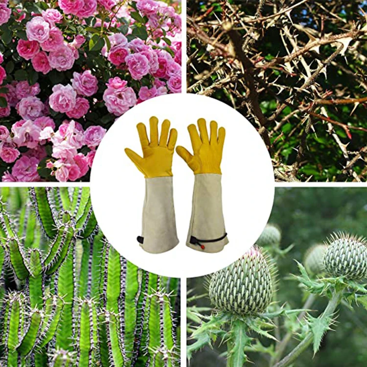 Heavy Duty Leather durable thornproof good dexterity rose pruning cacti handling thorn proof gardening cactus gloves