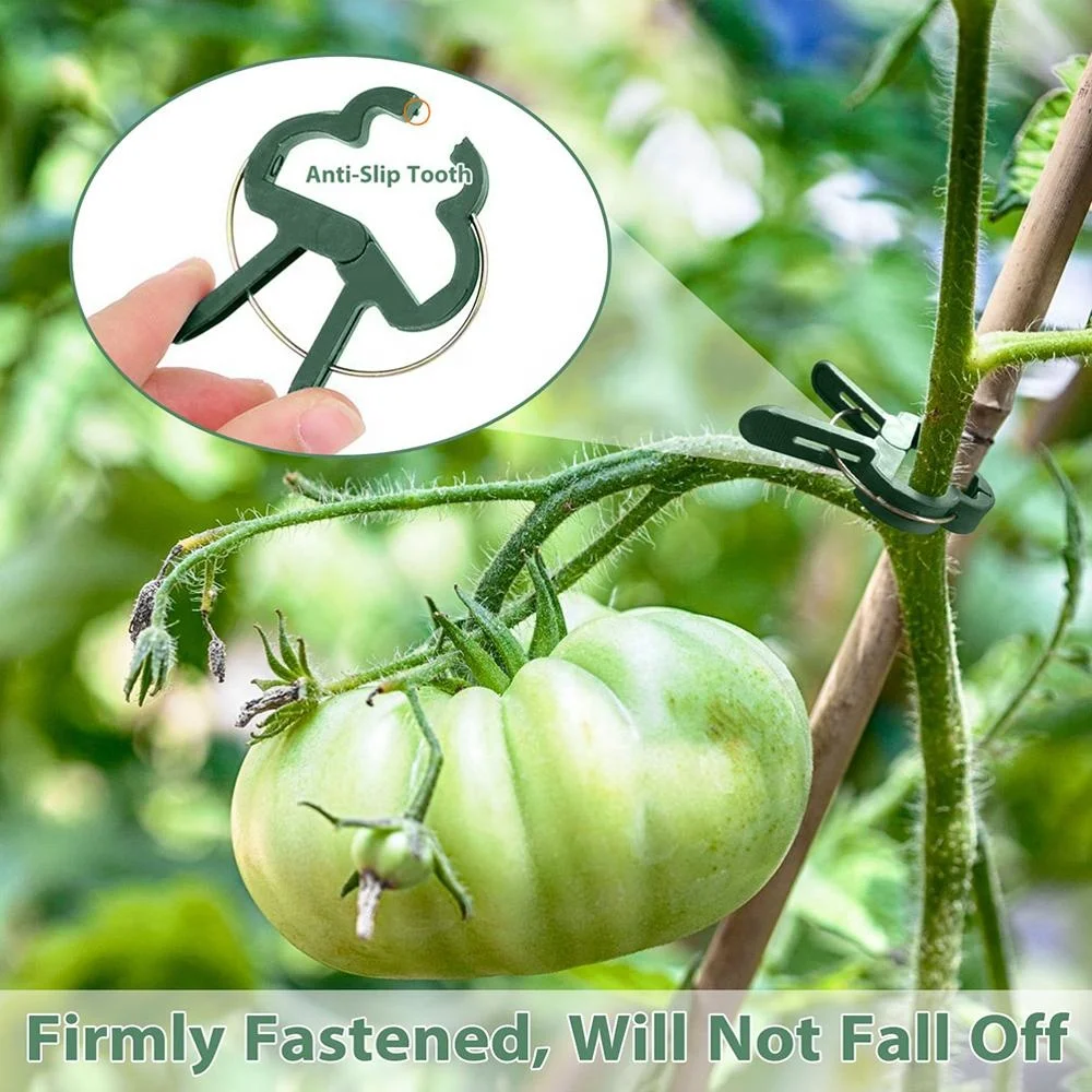 Green Gardening Plant Flower Lever Loop Gripper Clips for Supporting or Straightening Stems Stalks and Vines
