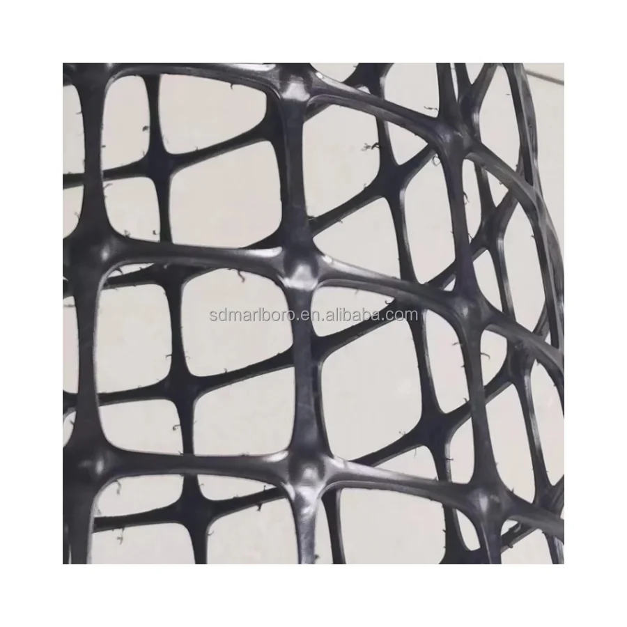 Chinese High Tensile Strength Polypropylene Biaxial Plastic Geogrid Manufacturer Geogrid for Civil Construction