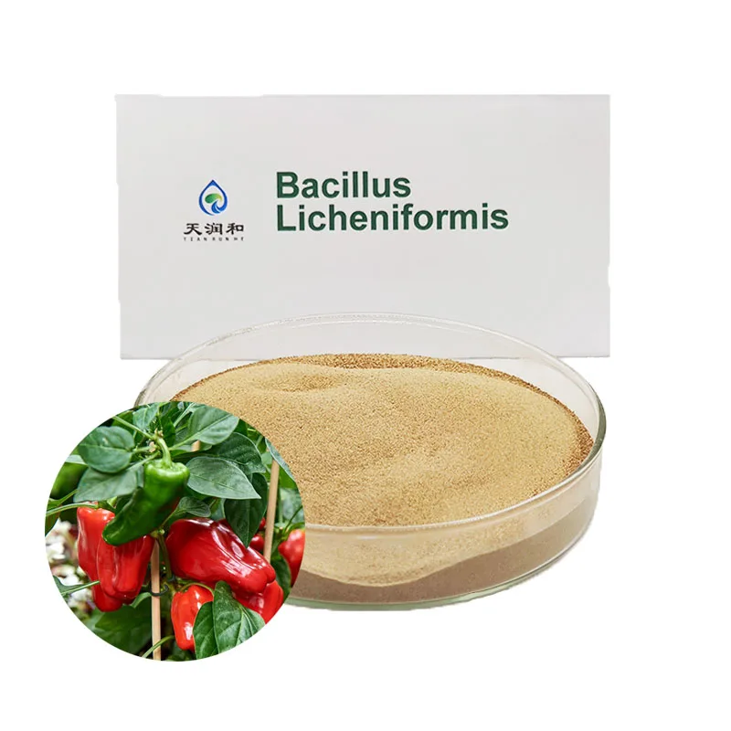 Microbial liquid fertilizer bacillus licheniformis
