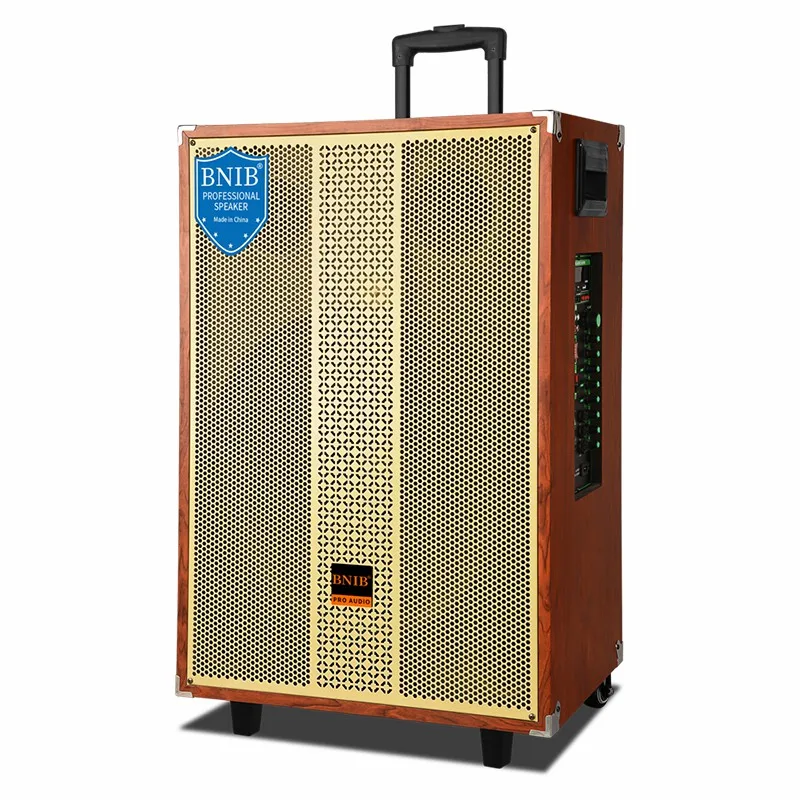 Hot Selling Products 2022 Portable Speaker 10 Inch Speakers Subwoofer Speaker ODM OEM USB BT TF MIC