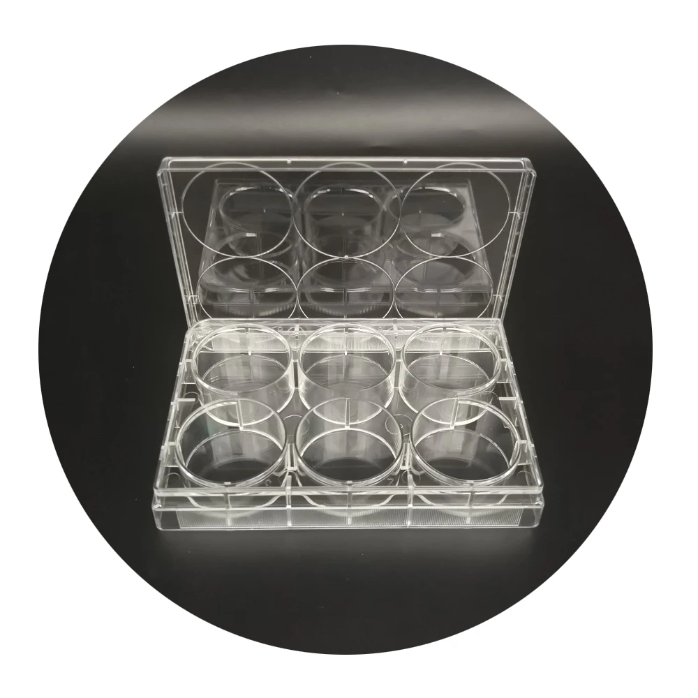 Luoron recommend medical plastic flat tc treated cell culture plates sterile tissue culture plate 6 24 48 96 wells 12well 24well