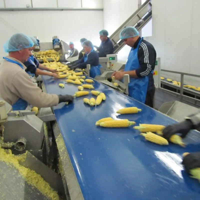 High Accuracy Cheese Ball Corn Puffing Machine Corn Flakes Corn Puffed Extruder Making Machine Processing Line