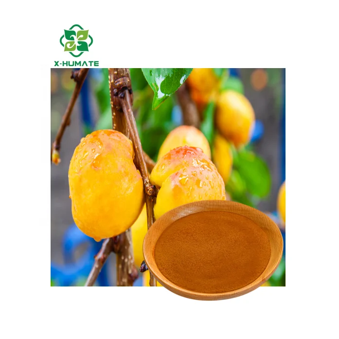 Fertilizer Fulvic Acid High Concentration Water Soluble Powder