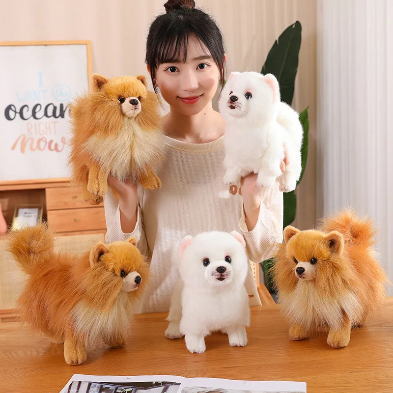 Premium Simulation Pomeranian Dog Plush Toy Cute Stuffed Animals Puppy Plushies Doll Plush Toys For Claw Machine Arcade