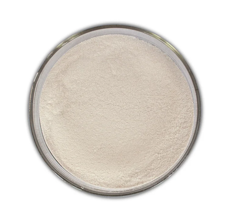 Free Sample Private Label Food Grade Glucoamylase Enzyme Powder CAS 9032-08-0 Amyloglucosidase