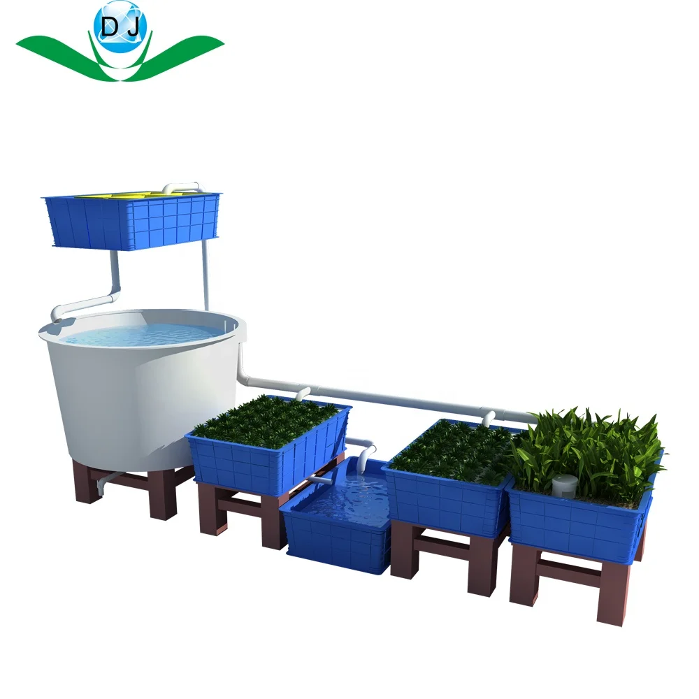 Agricultural Vegetable Cultivation Fish small aquaponics system