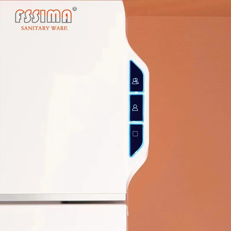 U5 automatic intelligent smart toilet Bathroom 110v/220v electric one piece bidet toilet with remote control