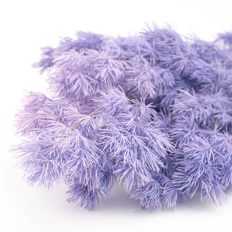 New Decorative Flowers Penglai Pine Flower Dried Asparagus Myrioeladus