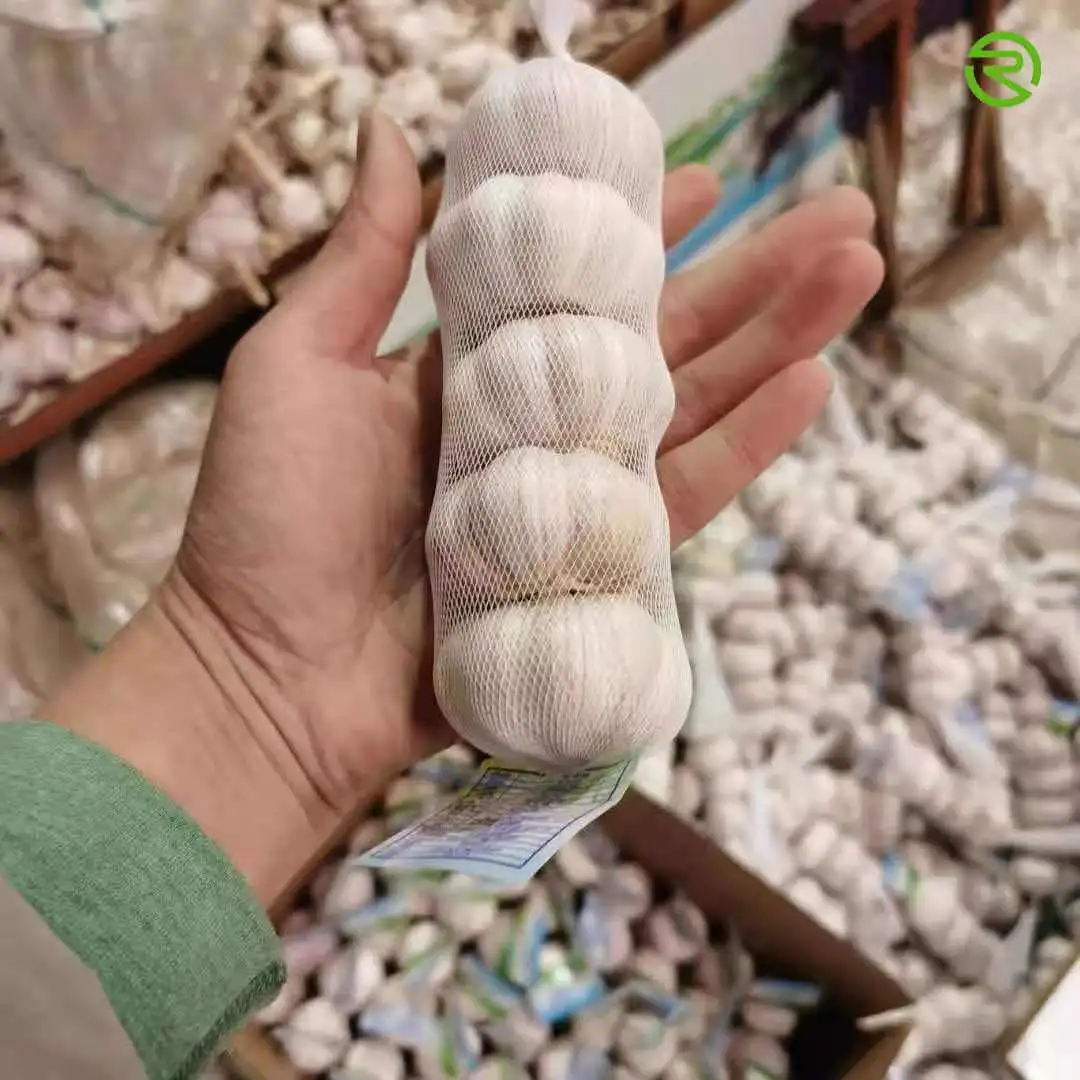 
Fresh white garlic garlic shandong multi - clove garlic high quality 