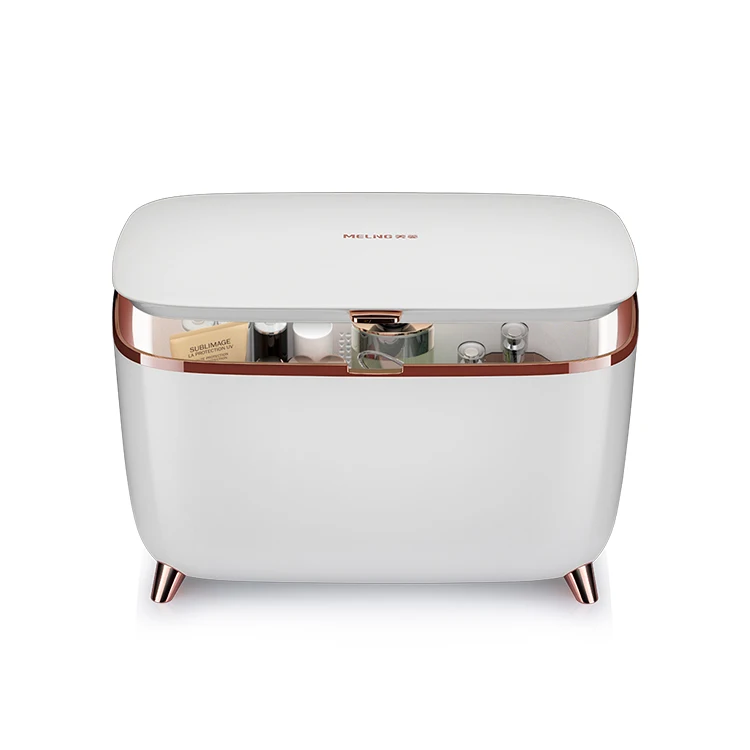 Cosmetic Mini Fridge 10L Professional Beauty Makeup Refrigerator Cooler For Hotel