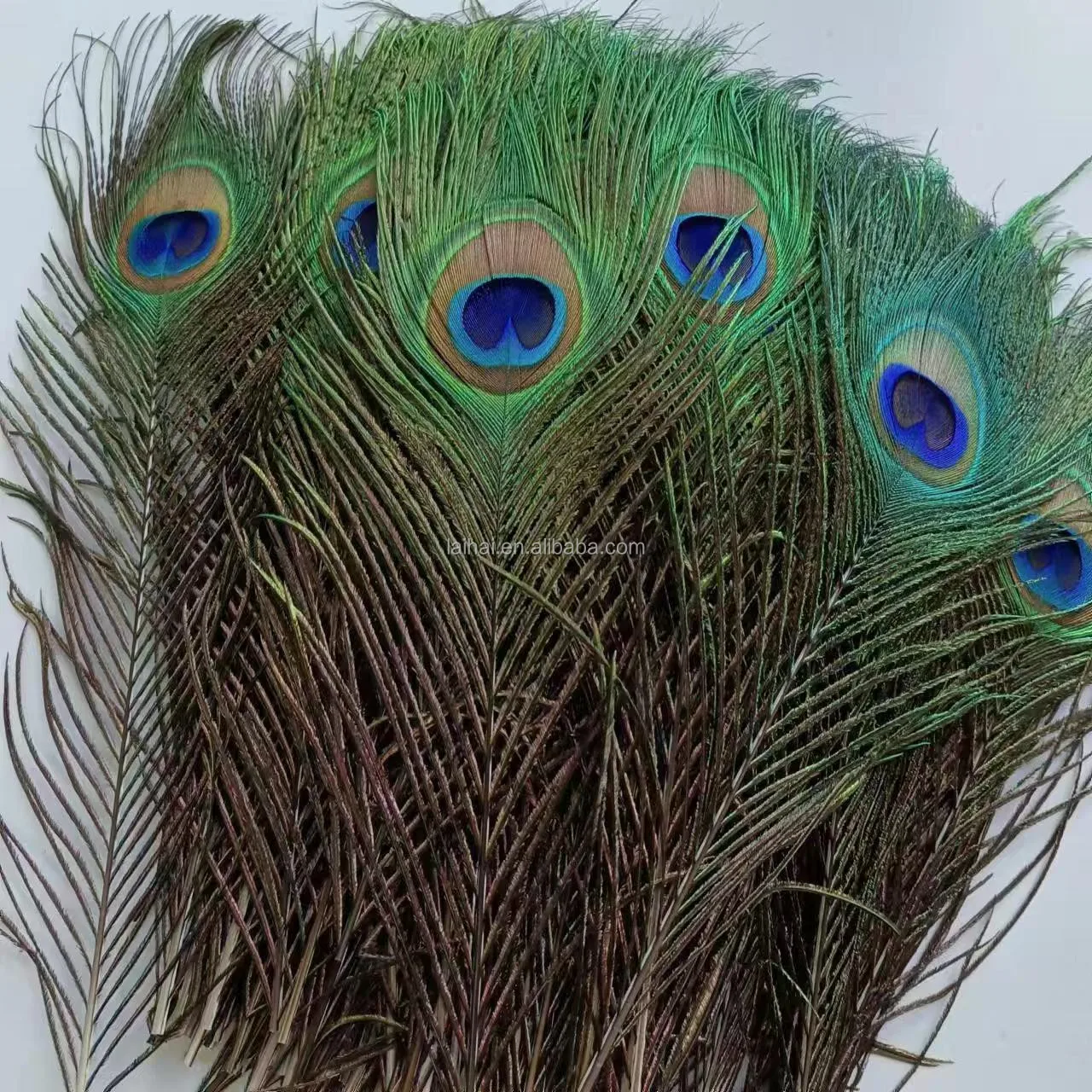 Cheap Natural Indian Peacock feathers tail feather for crafts accessory party costumes dance dress decoration
