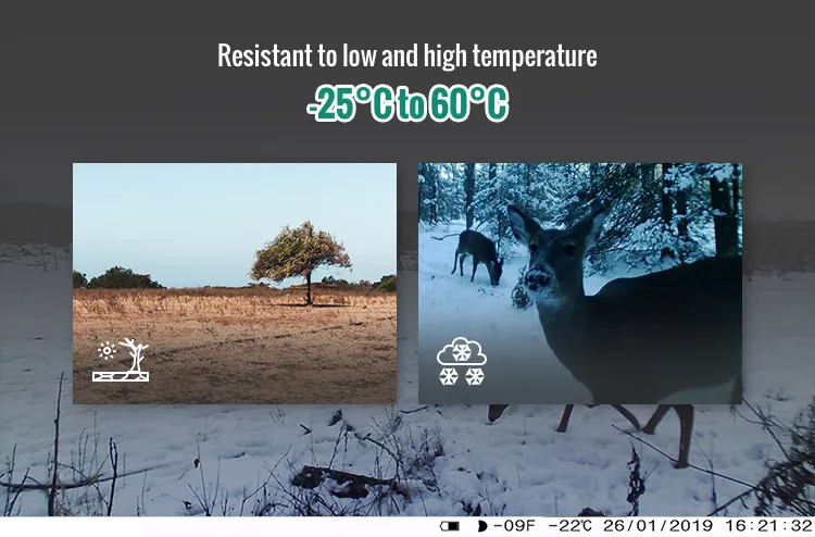Free APP Control 24MP Night Vision Digital Camera For Hunting Outdoor Animal Camouflage Camera