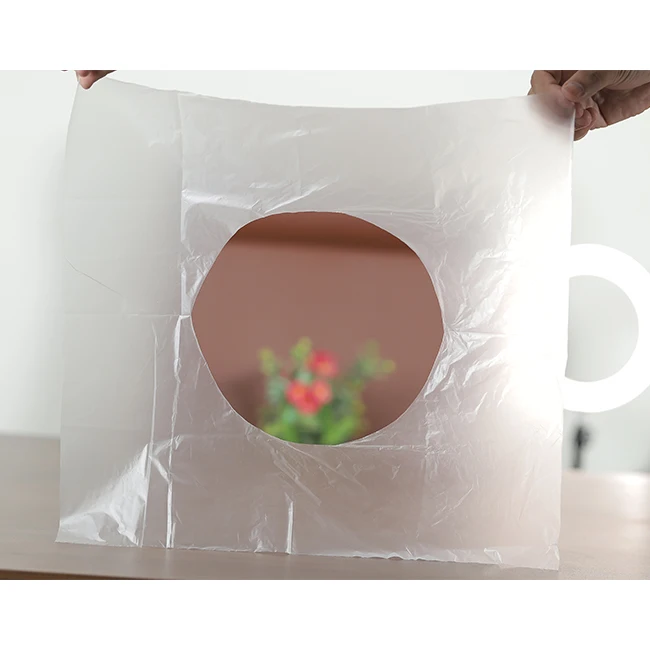 Transparent disposable travel hygienic plastic toilet seat cover