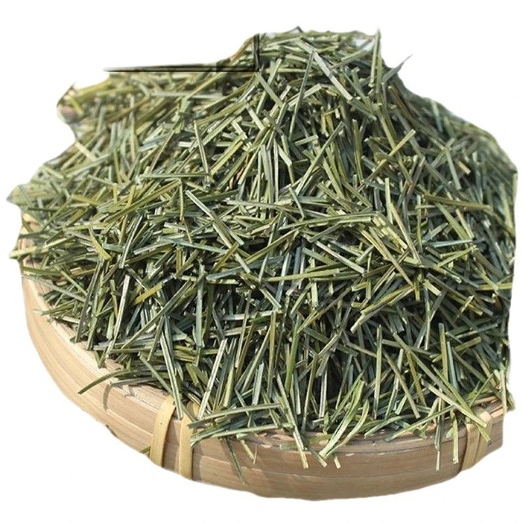 China 100% Natural song zhen good taste pine needle tea