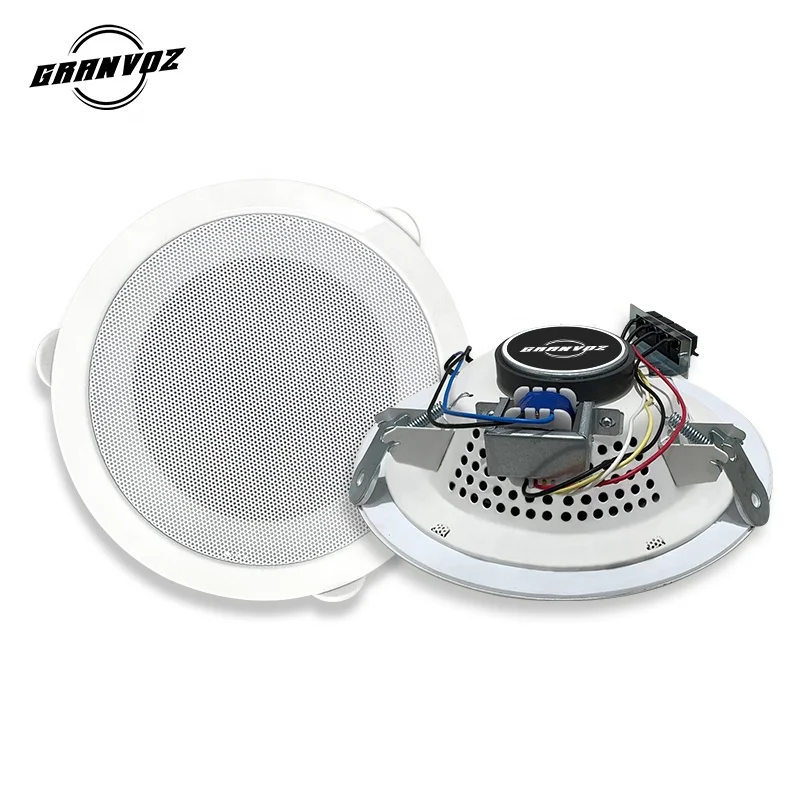 Оптовая продажа Популярные 5 Вт Металлический гриль 6-дюймовые потолочные колонки с настенным усилителем для дома